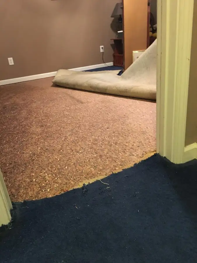 Carpet pad removal revealing water damage during Water Mitigation Services in Edna